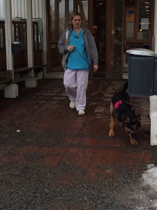 Hundersköterskan går av sitt pass